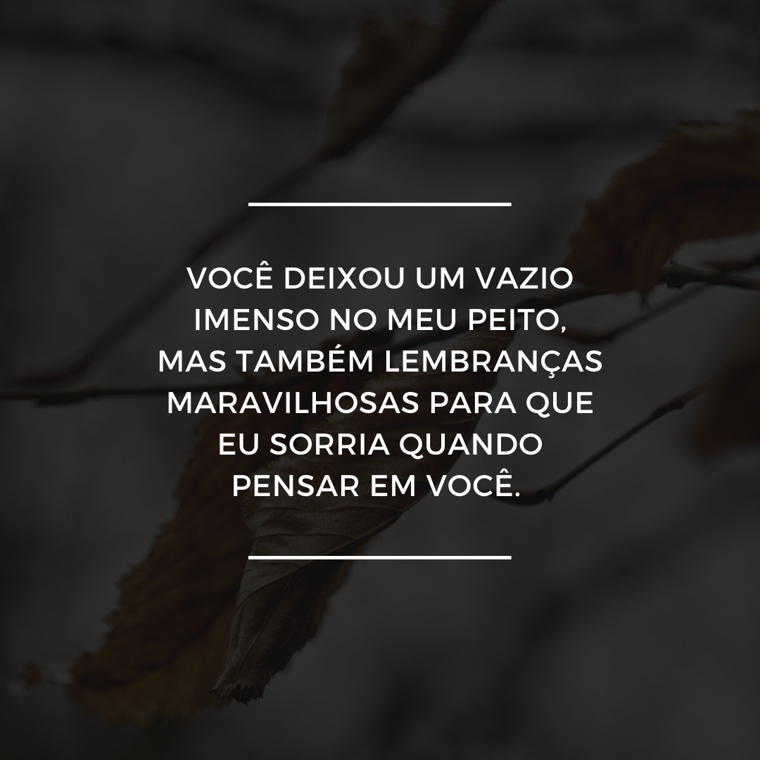 Você deixou um vazio imenso no meu peito, mas também lembranças maravilhosas para que eu sorria quando pensar em você. 