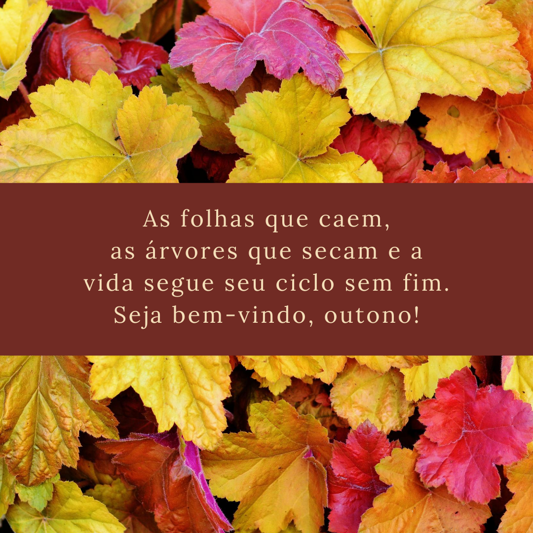 As folhas que caem, as árvores que secam e a vida segue seu ciclo sem fim. Seja bem-vindo, outono!