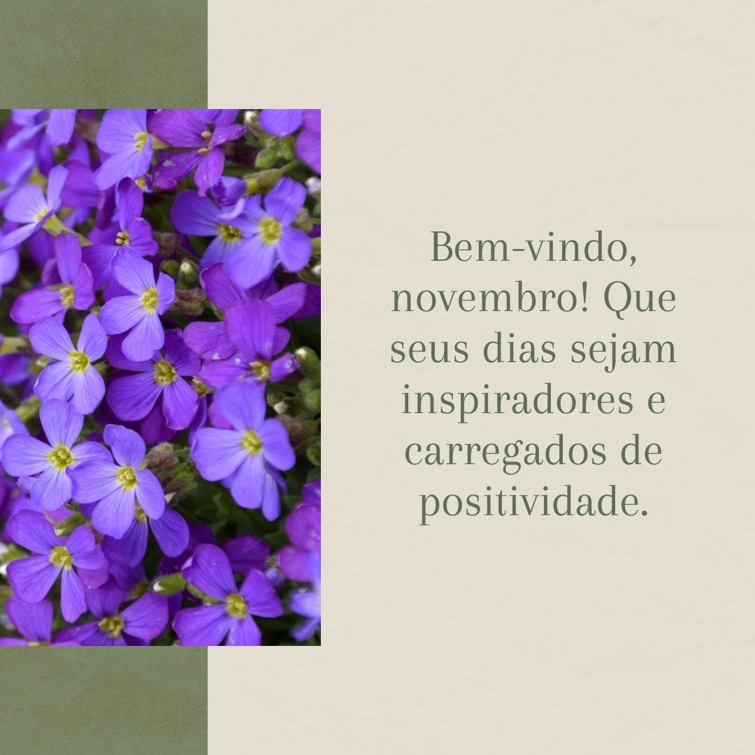 Bem-vindo, novembro! Que seus dias sejam inspiradores e carregados de positividade.