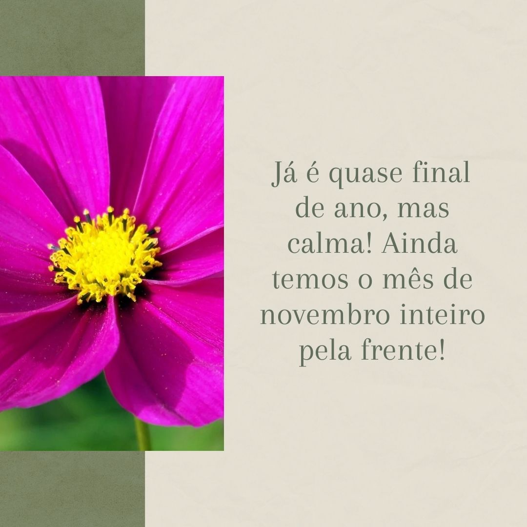 Já é quase final de ano, mas calma! Ainda temos o mês de novembro inteiro pela frente!