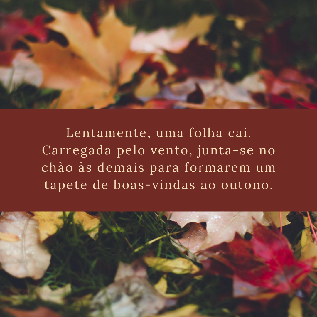 Lentamente, uma folha cai. Carregada pelo vento, junta-se no chão às demais para formarem um tapete de boas-vindas ao outono.