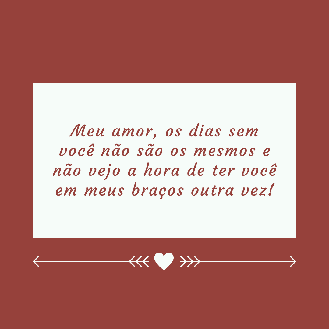 Meu amor, os dias sem você não são os mesmos e não vejo a hora de ter você em meus braços outra vez!