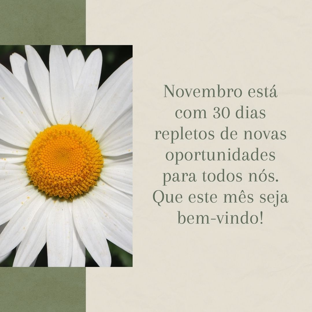 Novembro está com 30 dias repletos de novas oportunidades para todos nós. Que este mês seja bem-vindo!