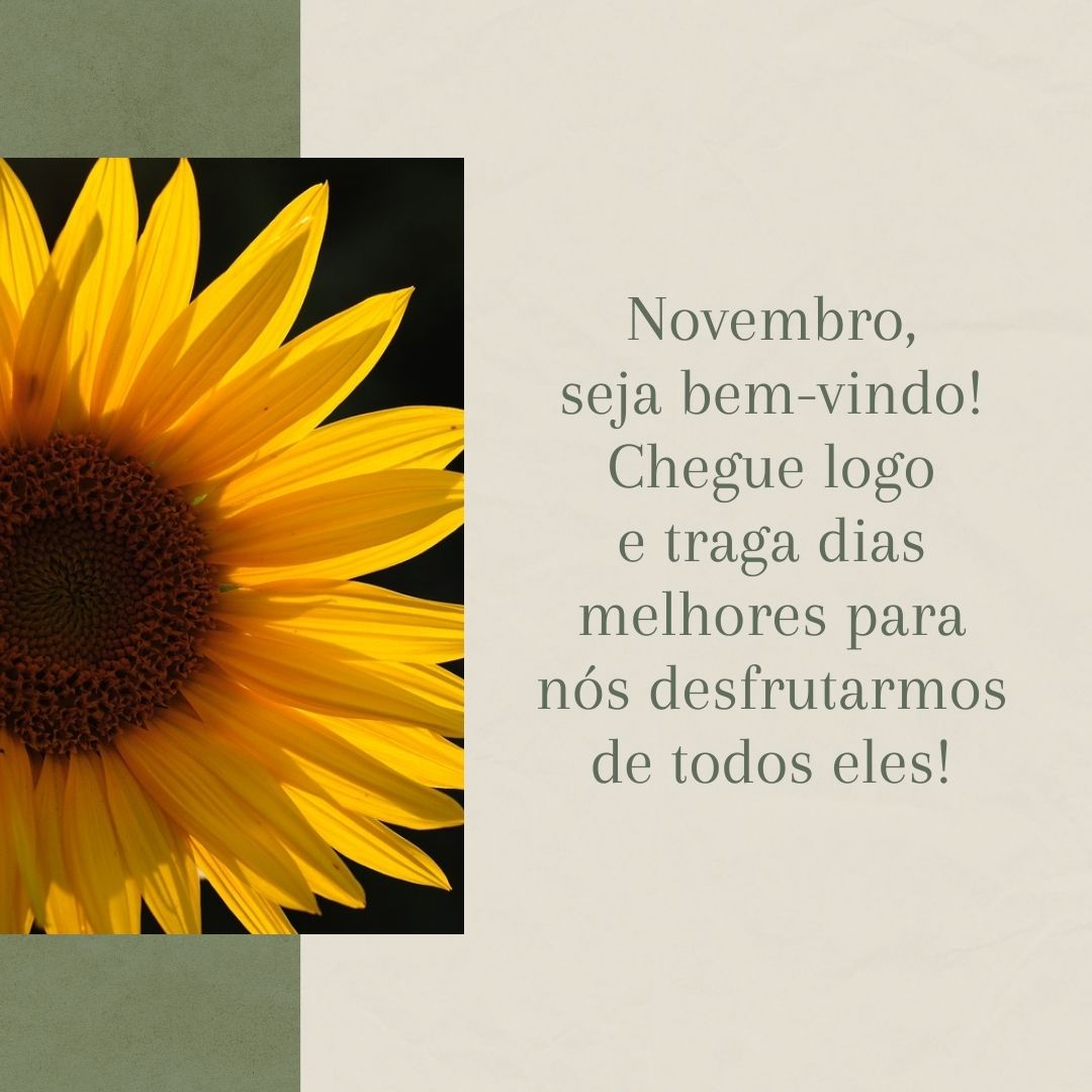 Novembro, seja bem-vindo! Chegue logo e traga dias melhores para nós desfrutarmos de todos eles!