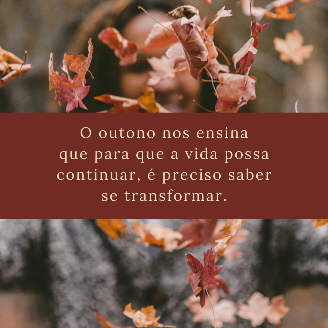 O outono nos ensina que para que a vida possa continuar, é preciso saber se transformar.