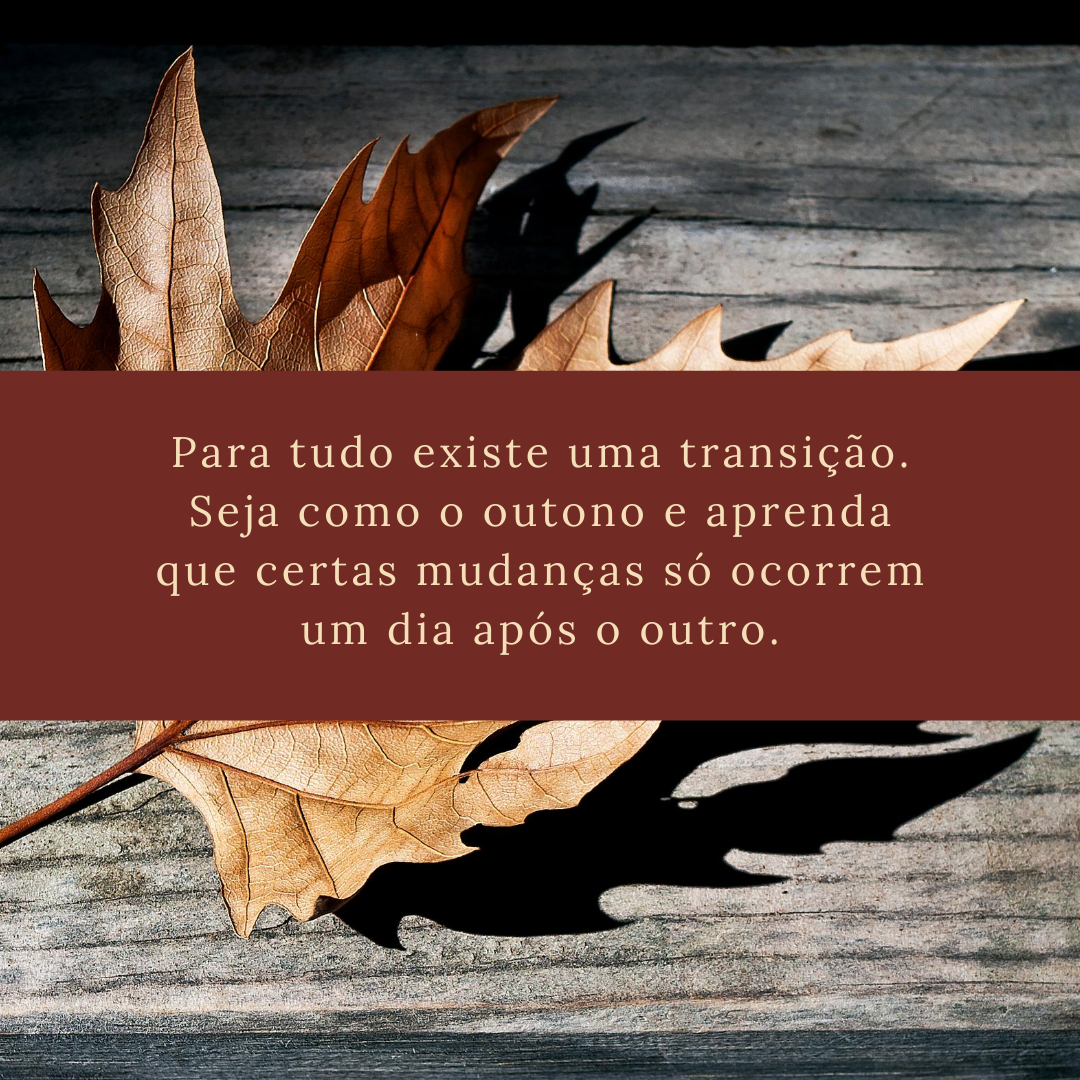 Para tudo existe uma transição. Seja como o outono e aprenda que certas mudanças só ocorrem um dia após o outro.