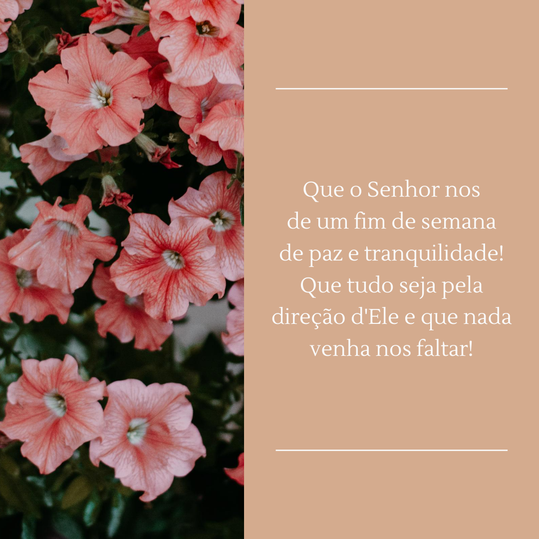 Que o Senhor nos de um fim de semana de paz e tranquilidade! Que tudo seja pela direção d'Ele e que nada venha nos faltar!