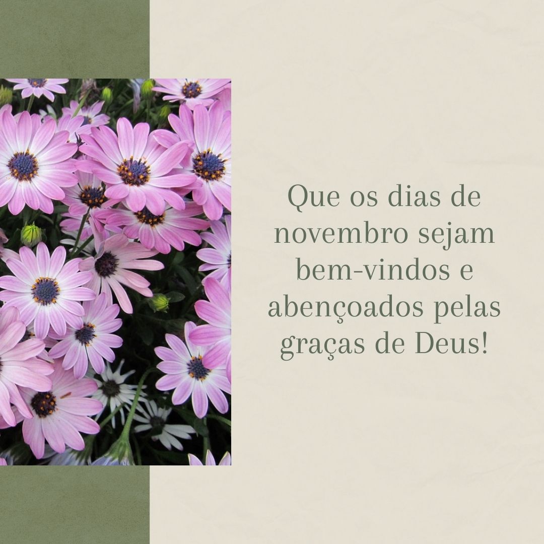 Que os dias de novembro sejam bem-vindos e abençoados pelas graças de Deus!