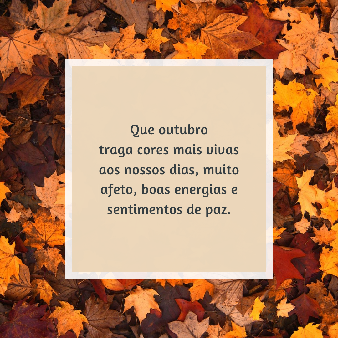 Que outubro traga cores mais vivas aos nossos dias, muito afeto, boas energias e sentimentos de paz.