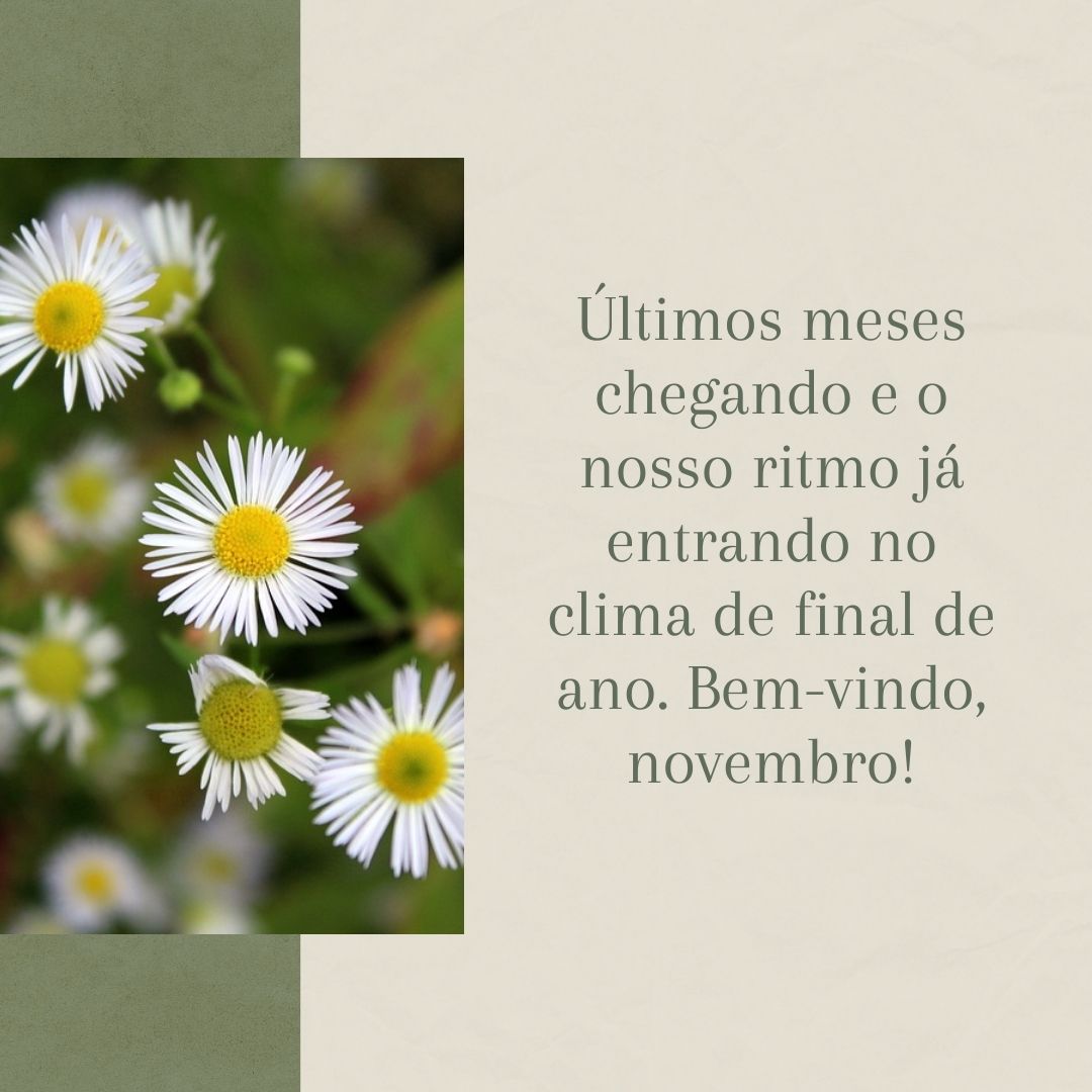 Últimos meses chegando e o nosso ritmo já entrando no clima de final de ano. Bem-vindo, novembro!