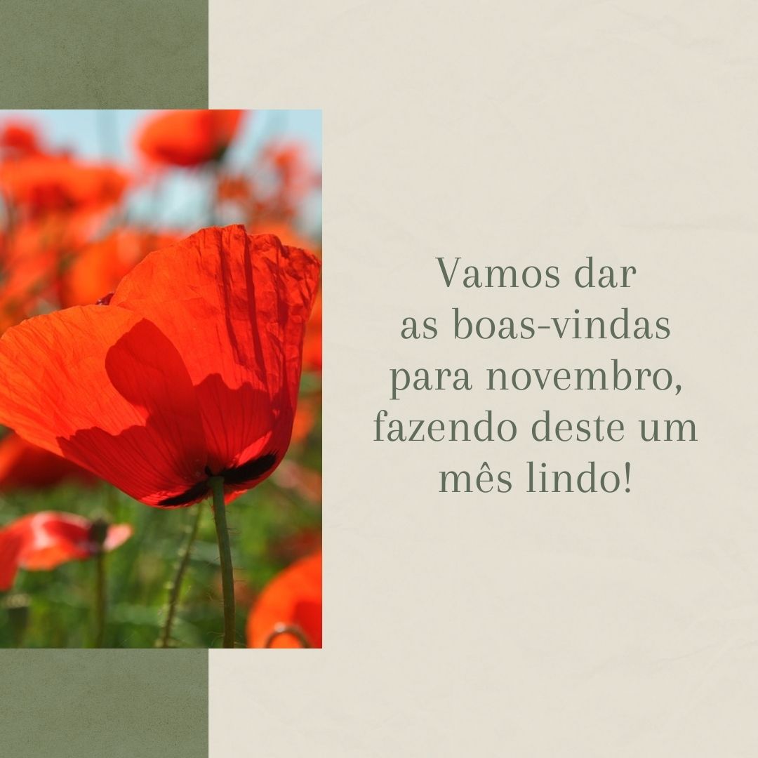 Vamos dar as boas-vindas para novembro, fazendo deste um mês lindo!