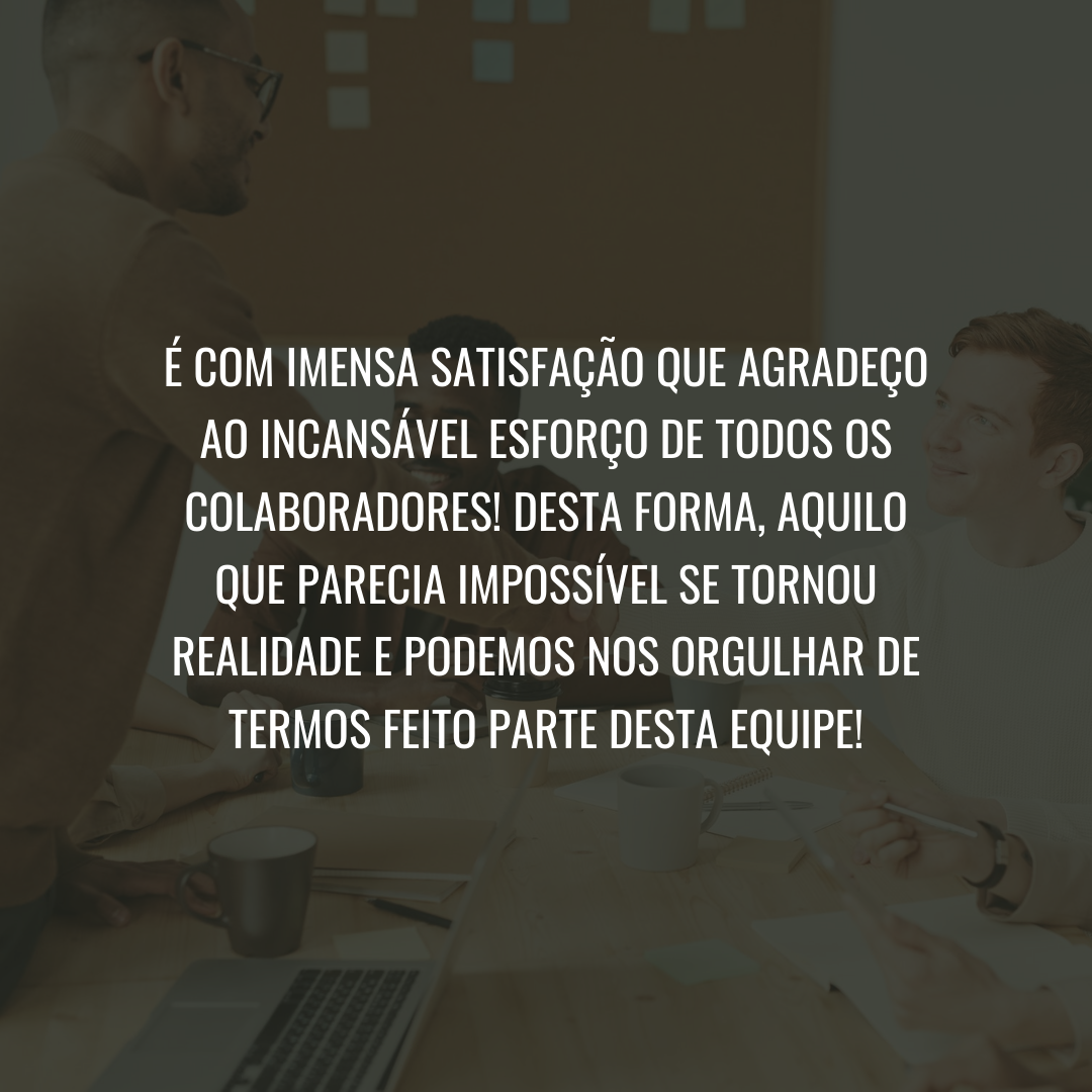 É com imensa satisfação que agradeço ao incansável esforço de todos os colaboradores! Desta forma, aquilo que parecia impossível se tornou realidade e podemos nos orgulhar de termos feito parte desta equipe!