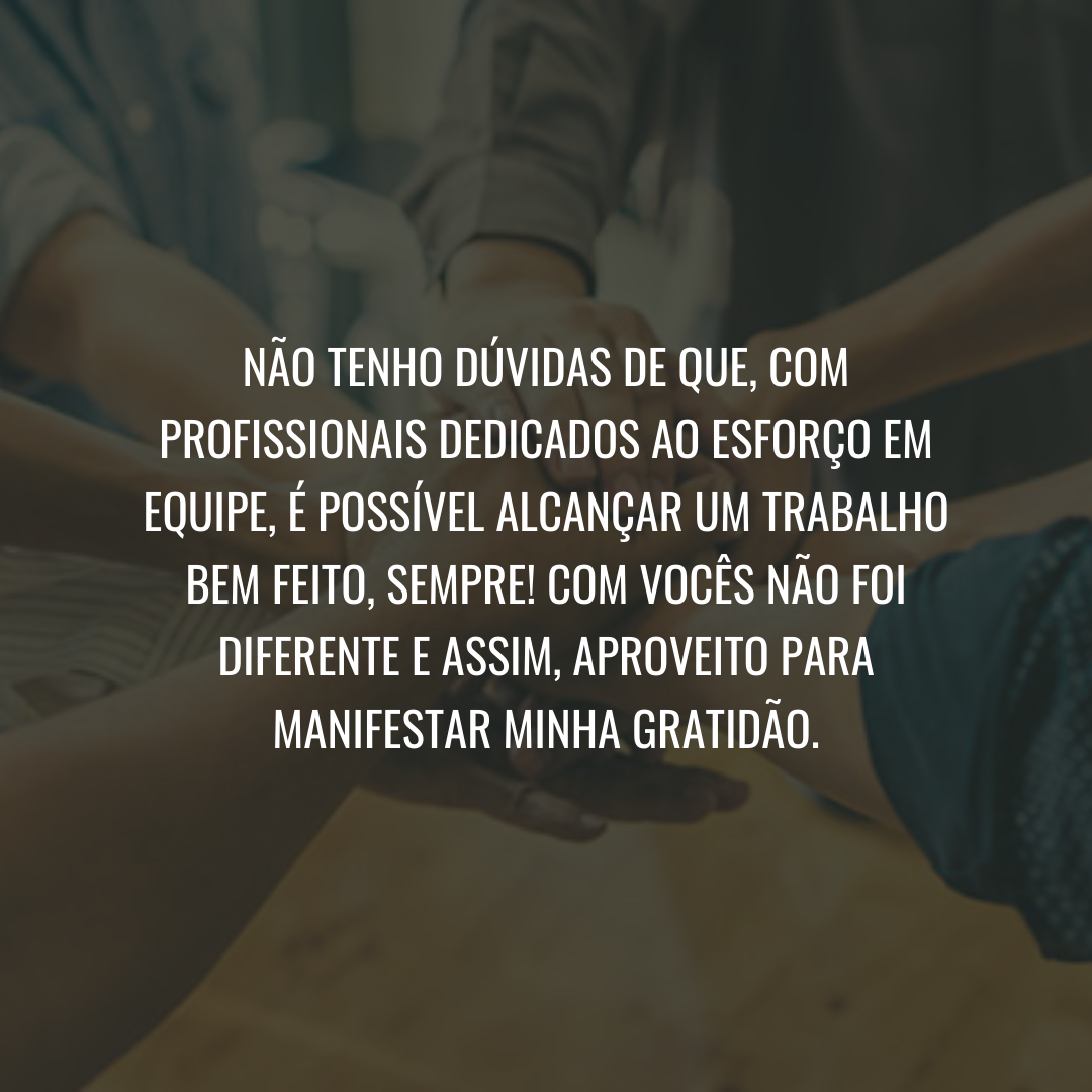 Não tenho dúvidas de que, com profissionais dedicados ao esforço em equipe, é possível alcançar um trabalho bem feito, sempre! Com vocês não foi diferente e assim, aproveito para manifestar minha gratidão.