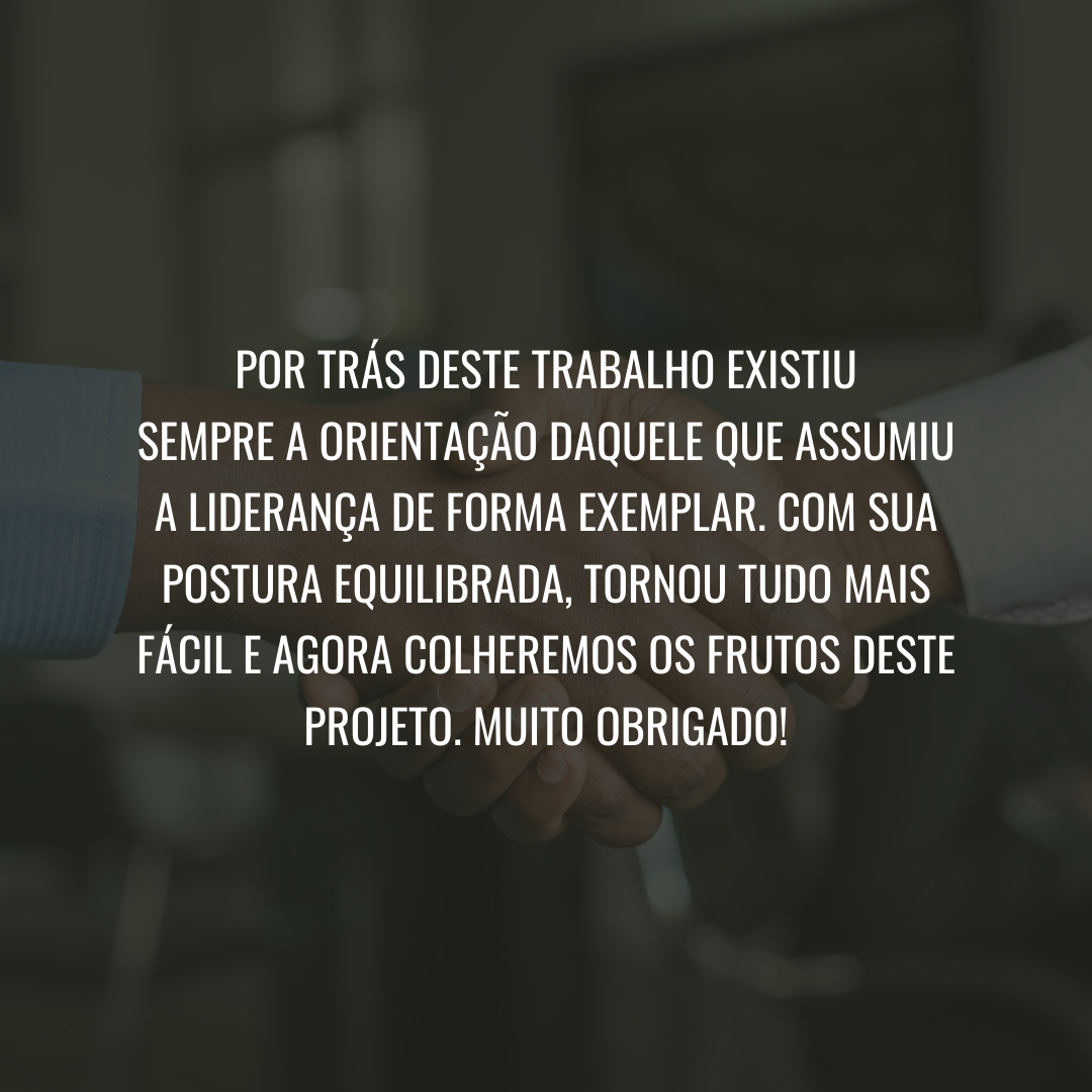 Por trás deste trabalho existiu sempre a orientação daquele que assumiu a liderança de forma exemplar. Com sua postura equilibrada, tornou tudo mais fácil e agora colheremos os frutos deste projeto. Muito obrigado!