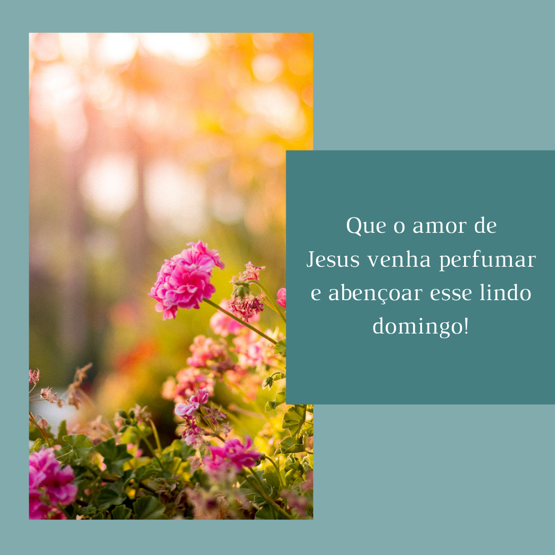 Que o amor de Jesus venha perfumar e abençoar esse lindo domingo!