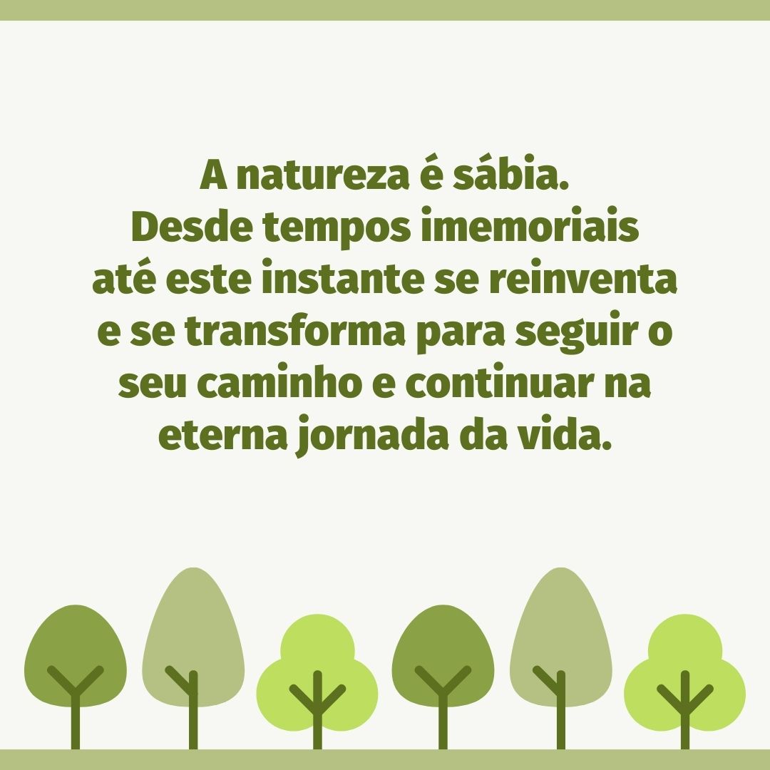 A natureza é sábia. Desde tempos imemoriais até este instante se reinventa e se transforma para seguir o seu caminho e continuar na eterna jornada da vida.