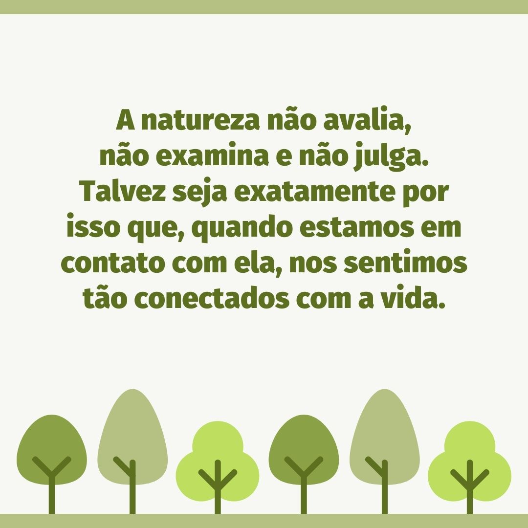 A natureza não avalia, não examina e não julga. Talvez seja exatamente por isso que, quando estamos em contato com ela, nos sentimos tão conectados com a vida.