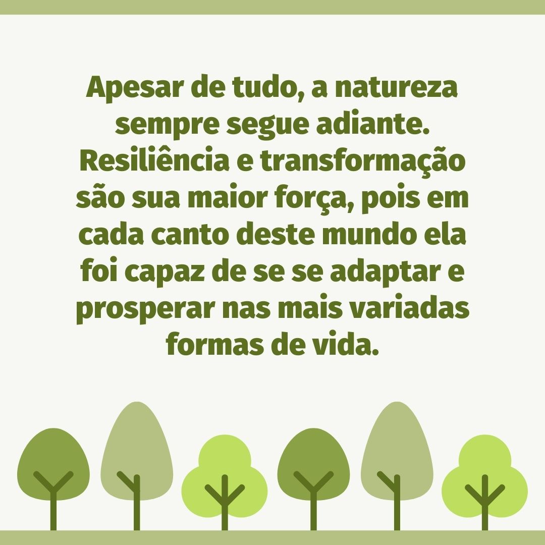 Apesar de tudo, a natureza sempre segue adiante. Resiliência e transformação são sua maior força, pois em cada canto deste mundo ela foi capaz de se se adaptar e prosperar nas mais variadas formas de vida.