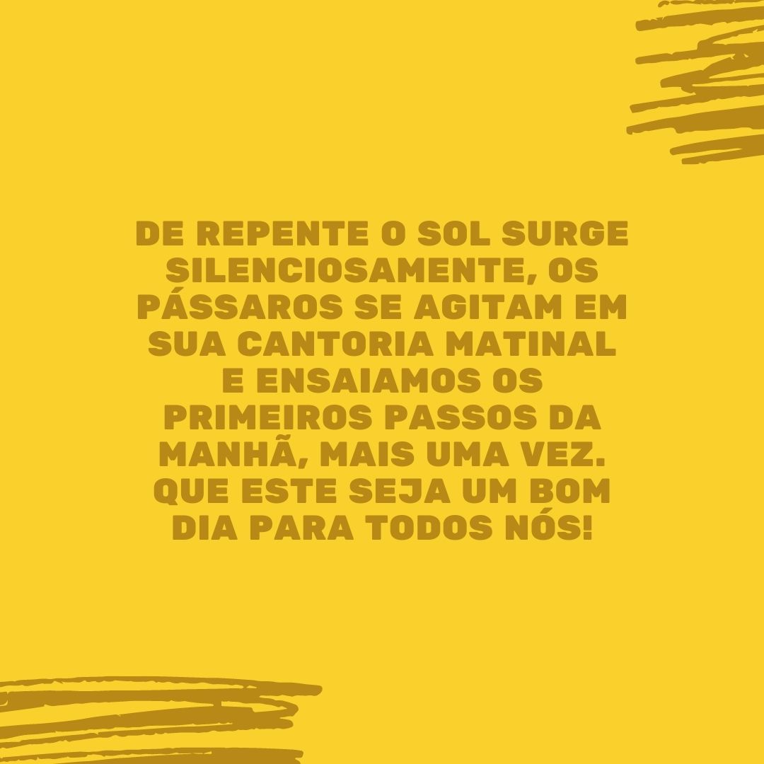 De repente o sol surge silenciosamente, os pássaros se agitam em sua cantoria matinal e ensaiamos os primeiros passos da manhã, mais uma vez. Que este seja um bom dia para todos nós!