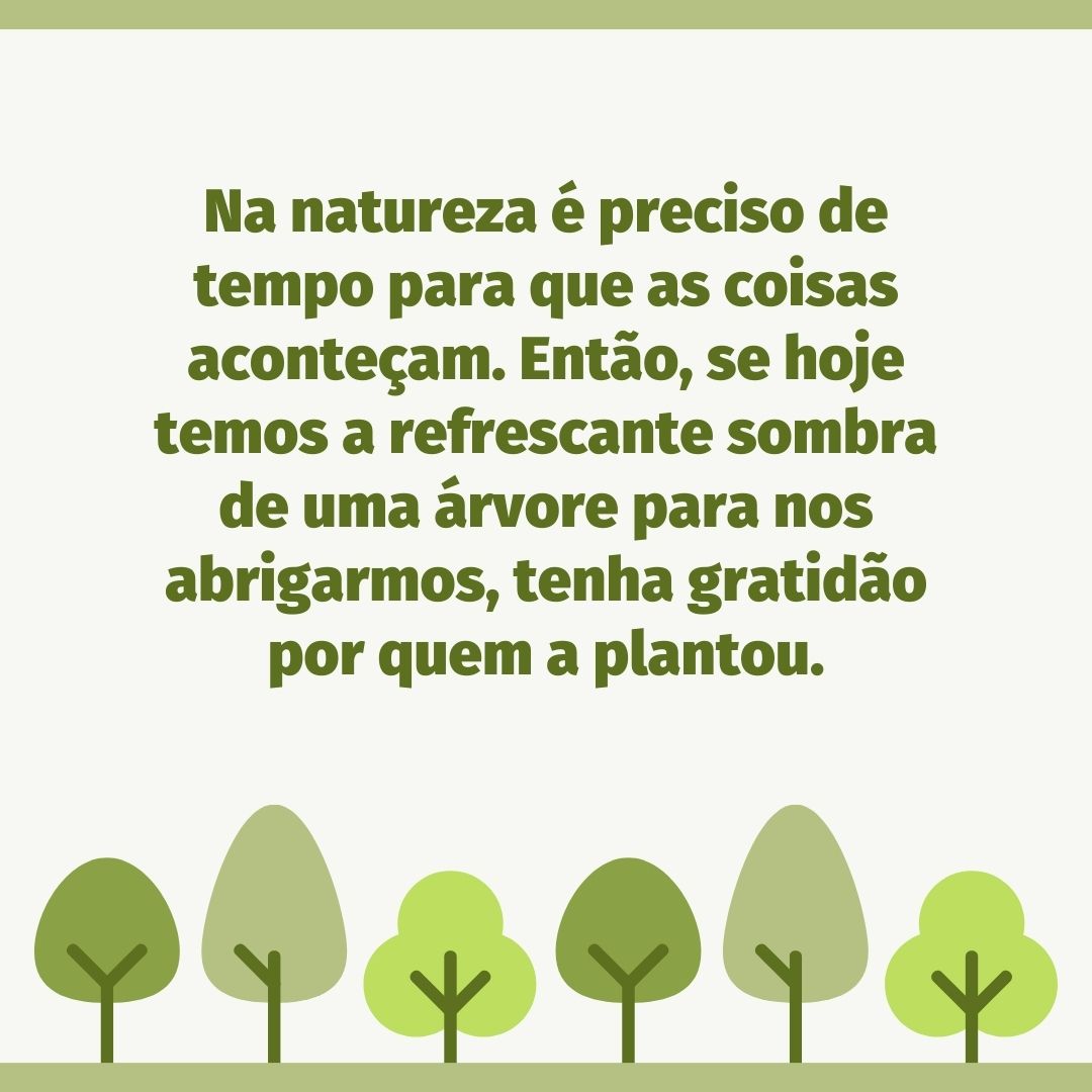 Na natureza é preciso de tempo para que as coisas aconteçam. Então, se hoje temos a refrescante sombra de uma árvore para nos abrigarmos, tenha gratidão por quem a plantou.