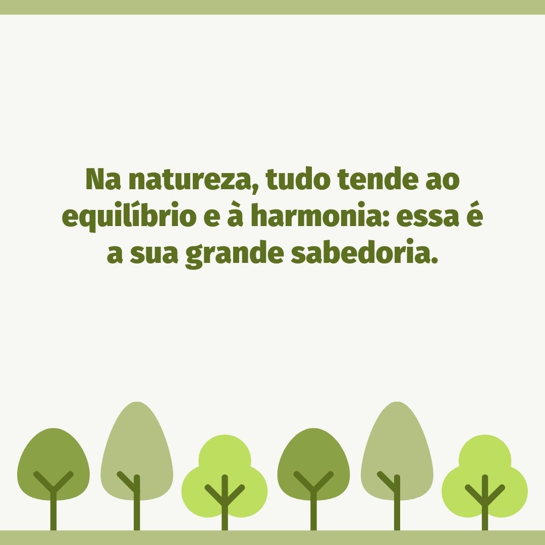 Na natureza, tudo tende ao equilíbrio e à harmonia: essa é a sua grande sabedoria.