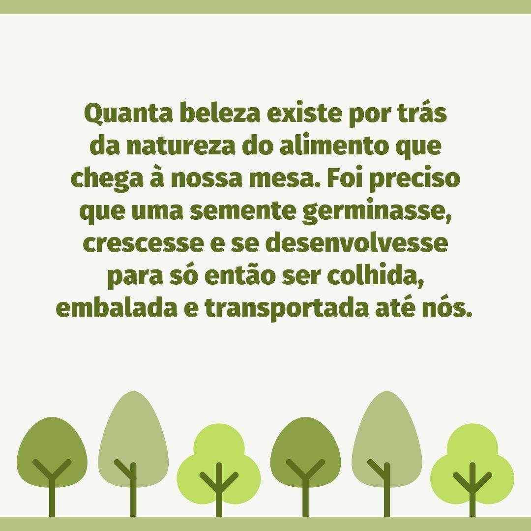 Quanta beleza existe por trás da natureza do alimento que chega à nossa mesa. Foi preciso que uma semente germinasse, crescesse e se desenvolvesse para só então ser colhida, embalada e transportada até nós. 