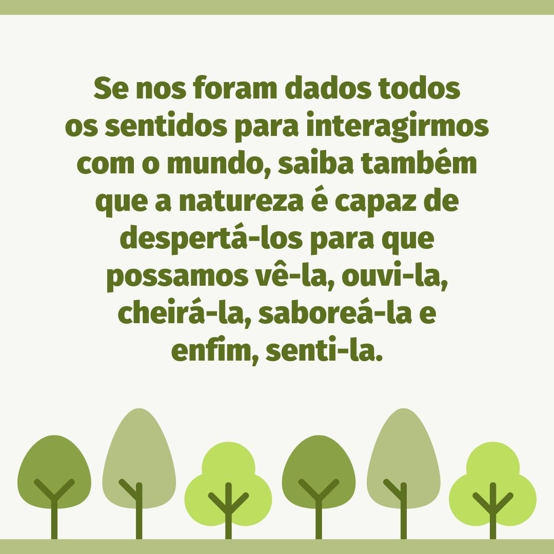 Se nos foram dados todos os sentidos para interagirmos com o mundo, saiba também que a natureza é capaz de despertá-los para que possamos vê-la, ouvi-la, cheirá-la, saboreá-la e enfim, senti-la.