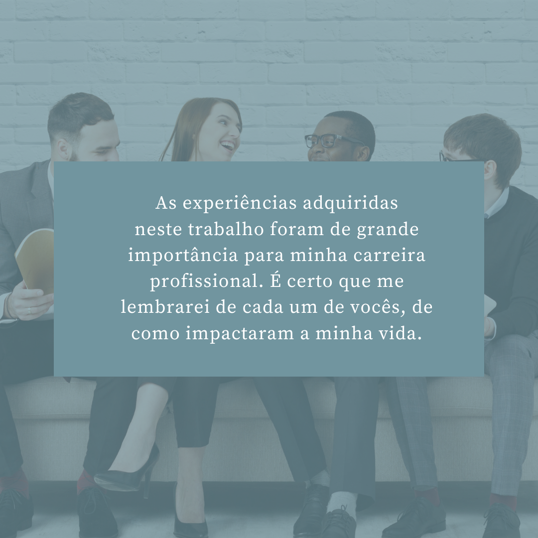 As experiências adquiridas neste trabalho foram de grande importância para minha carreira profissional. É certo que me lembrarei de cada um de vocês, de como impactaram a minha vida.