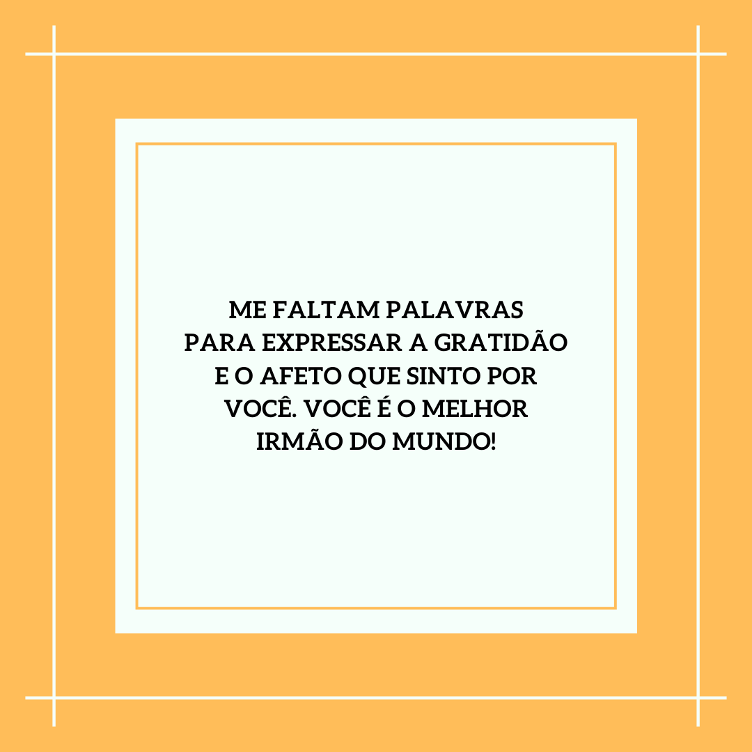 Me faltam palavras para expressar a gratidão e o afeto que sinto por você. Você é o melhor irmão do mundo!