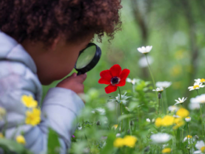 60 mensagens de lição de vida para refletir e aprender com ela