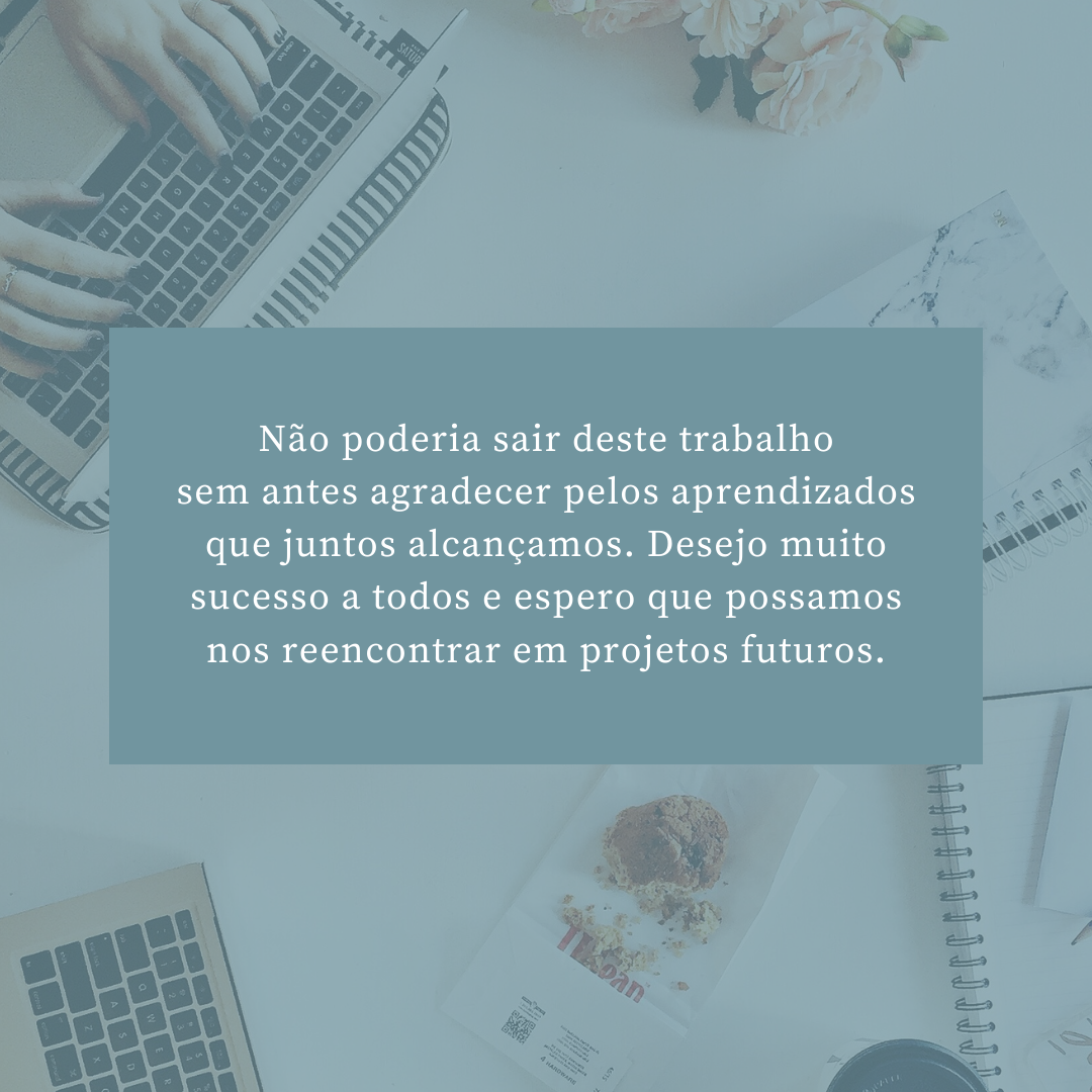 Não poderia sair deste trabalho sem antes agradecer pelos aprendizados que juntos alcançamos. Desejo muito sucesso a todos e espero que possamos nos reencontrar em projetos futuros.