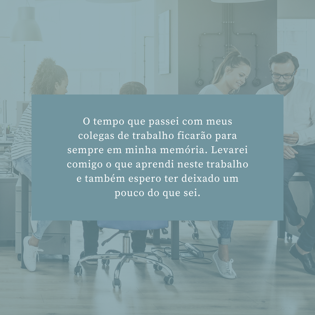 O tempo que passei com meus colegas de trabalho ficarão para sempre em minha memória. Levarei comigo o que aprendi neste trabalho e também espero ter deixado um pouco do que sei.