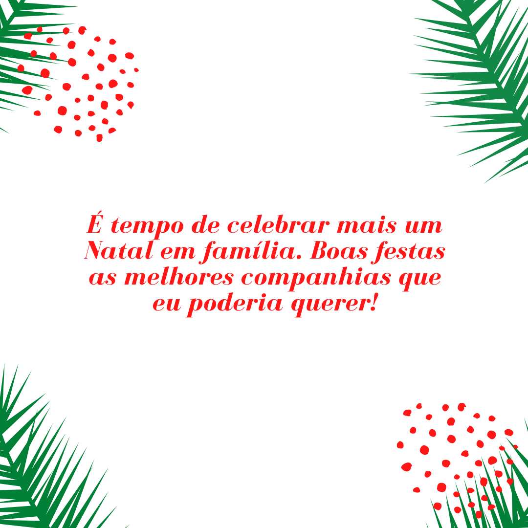 É tempo de celebrar mais um Natal em família. Boas festas as melhores companhias que eu poderia querer!