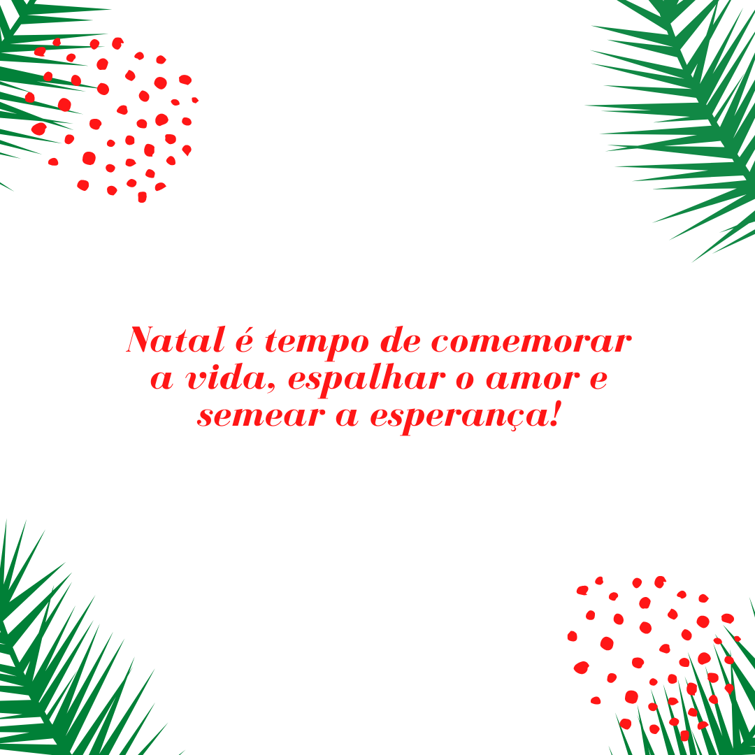 Natal é tempo de comemorar a vida, espalhar o amor e semear a esperança!