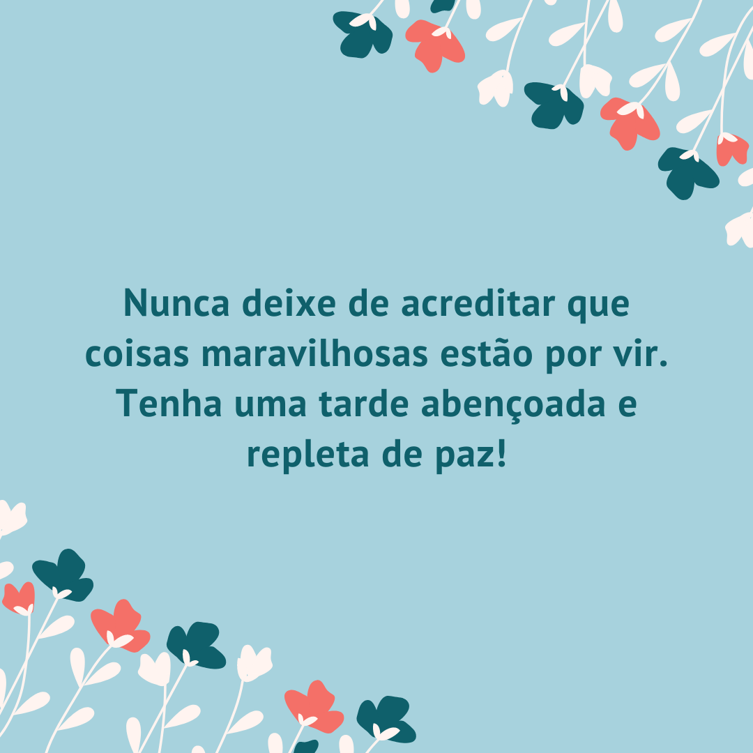 Nunca deixe de acreditar que coisas maravilhosas estão por vir. Tenha uma tarde abençoada e repleta de paz!