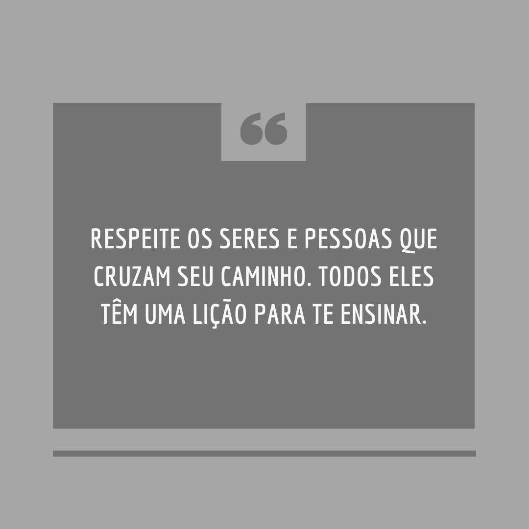 Respeite os seres e pessoas que cruzam seu caminho. Todos eles têm uma lição para te ensinar.