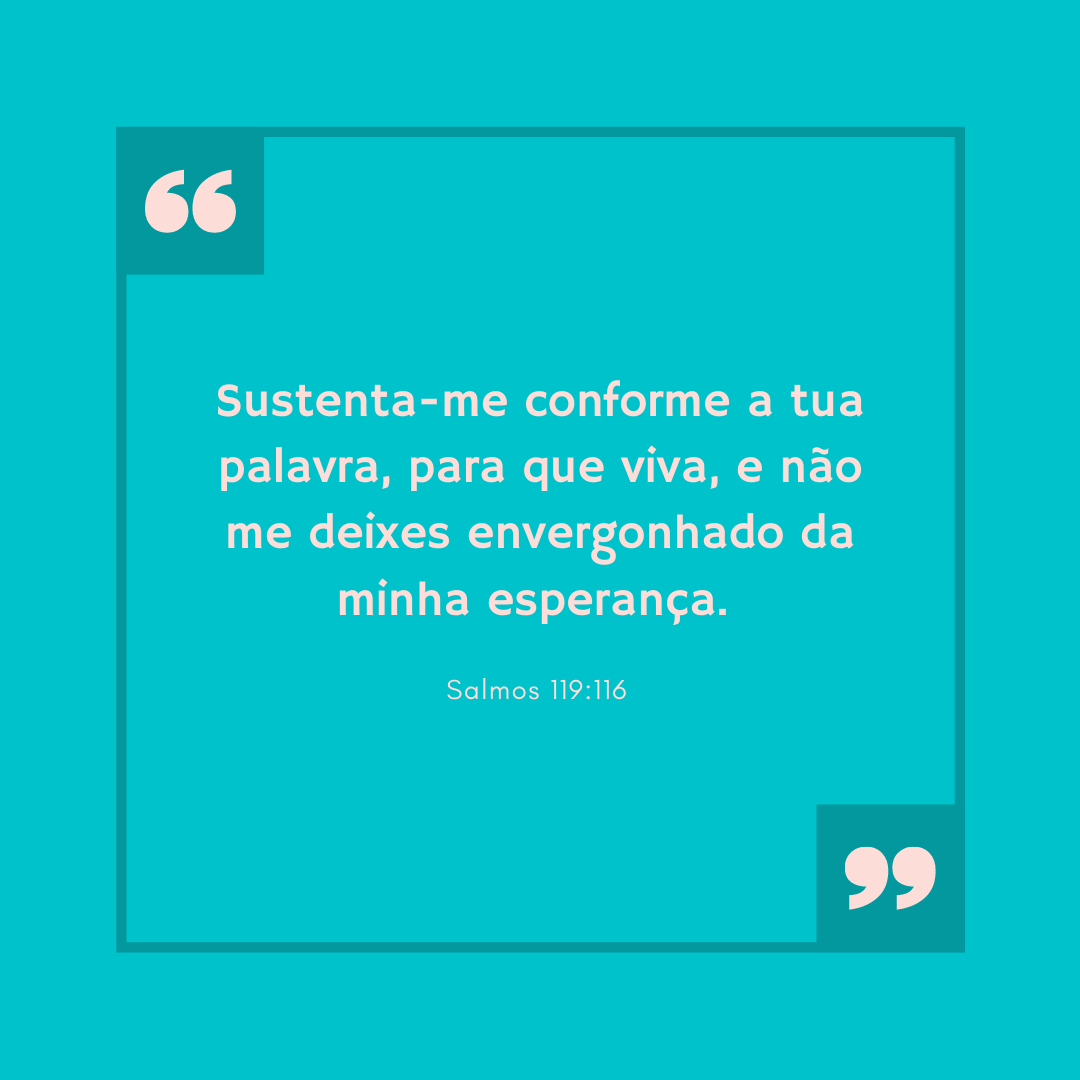 Sustenta-me conforme a tua palavra, para que viva, e não me deixes envergonhado da minha esperança. 