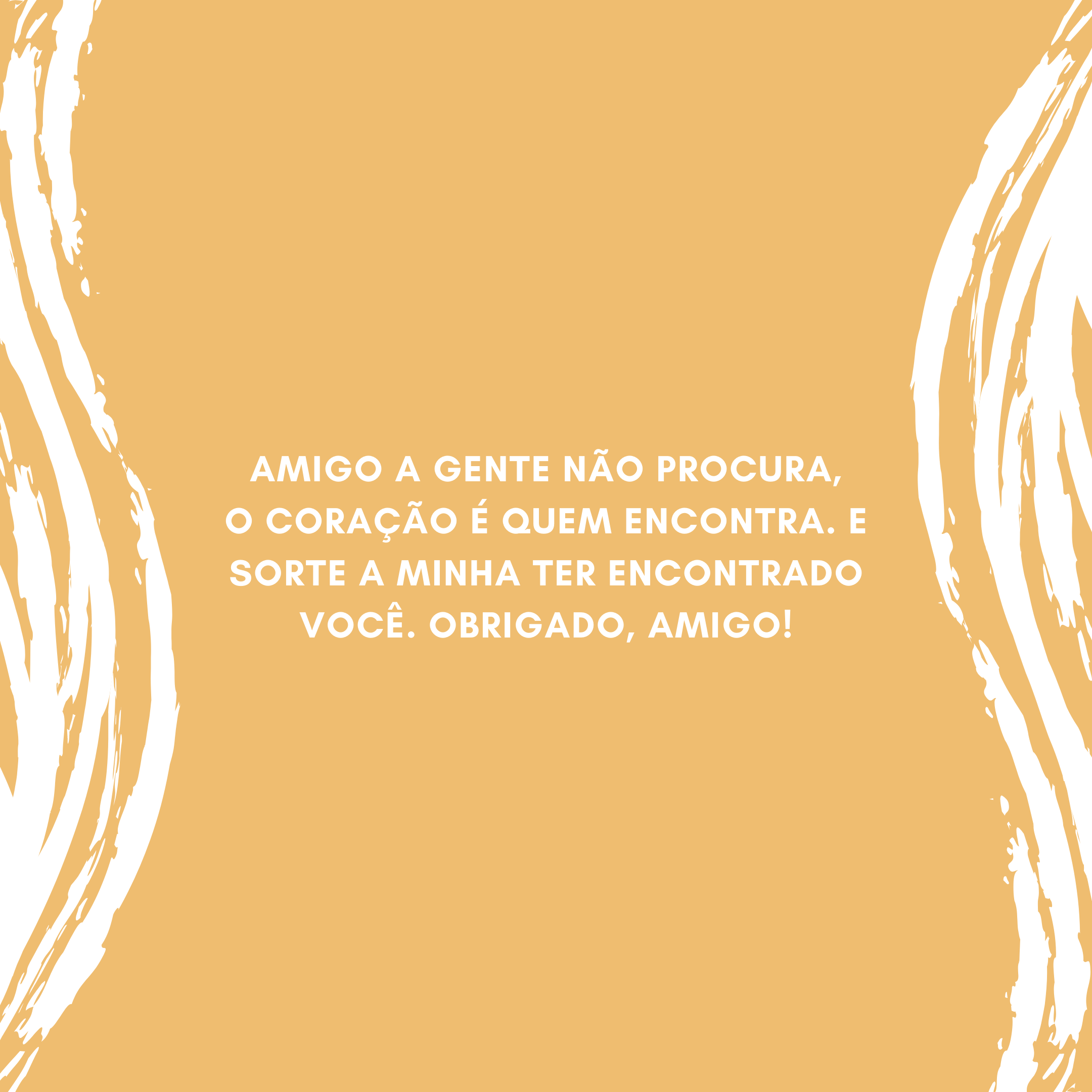 Amigo a gente não procura, o coração é quem encontra. E sorte a minha ter encontrado você. Obrigado, amigo!