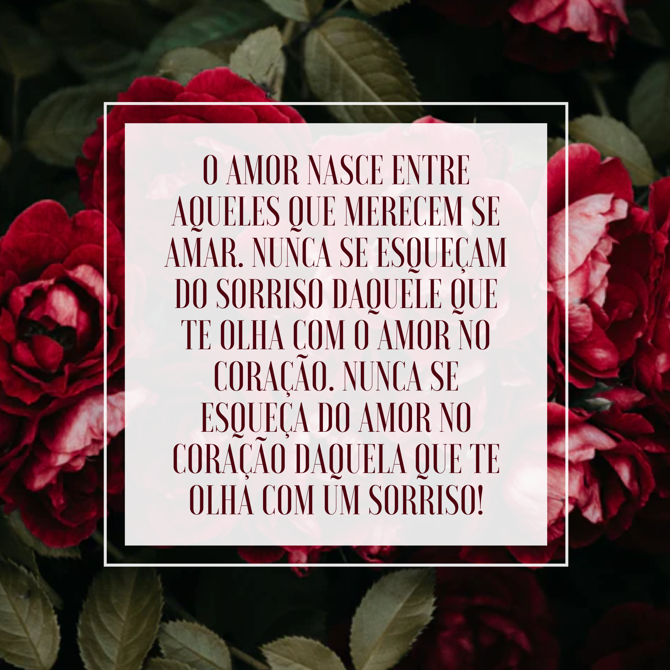 O amor nasce entre aqueles que merecem se amar. Nunca se esqueçam do sorriso daquele que te olha com o amor no coração. Nunca se esqueça do amor no coração daquela que te olha com um sorriso!