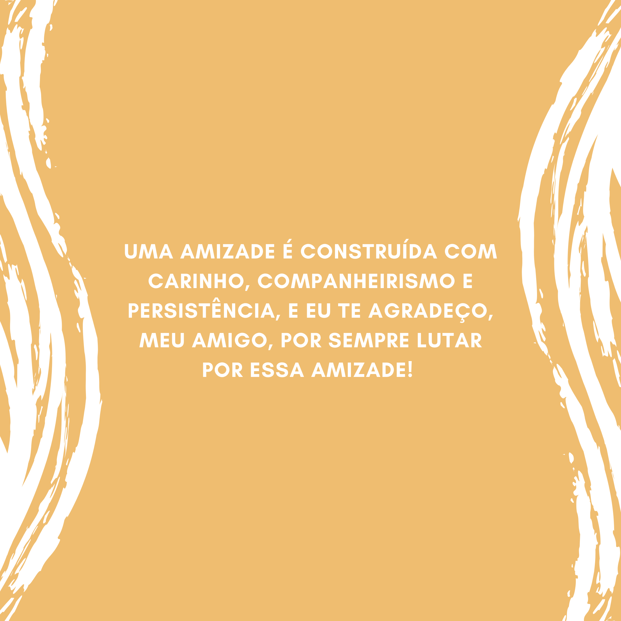 Uma amizade é construída com carinho, companheirismo e persistência, e eu te agradeço, meu amigo, por sempre lutar por essa amizade! 