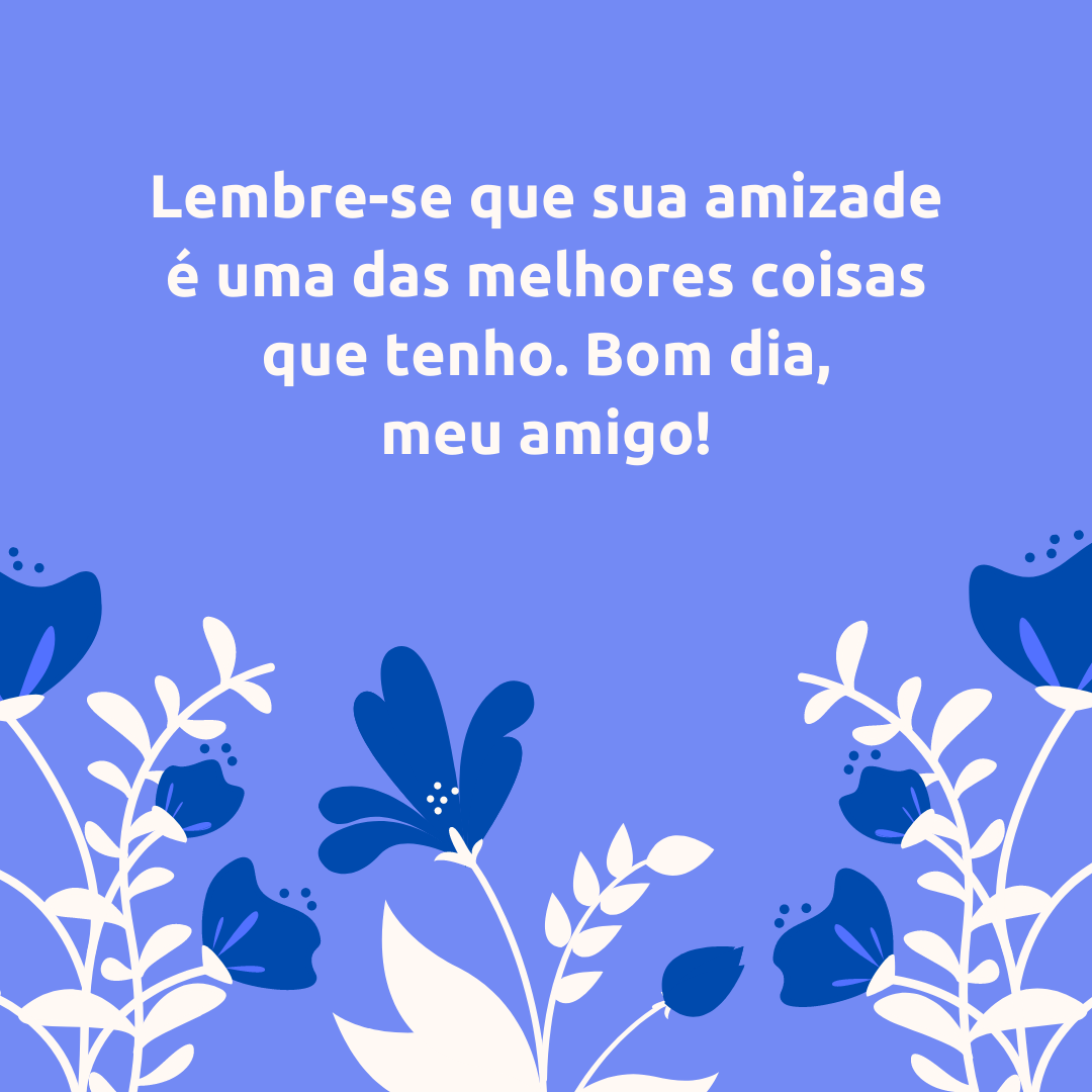 Lembre-se que sua amizade é uma das melhores coisas que tenho. Bom dia, meu amigo!