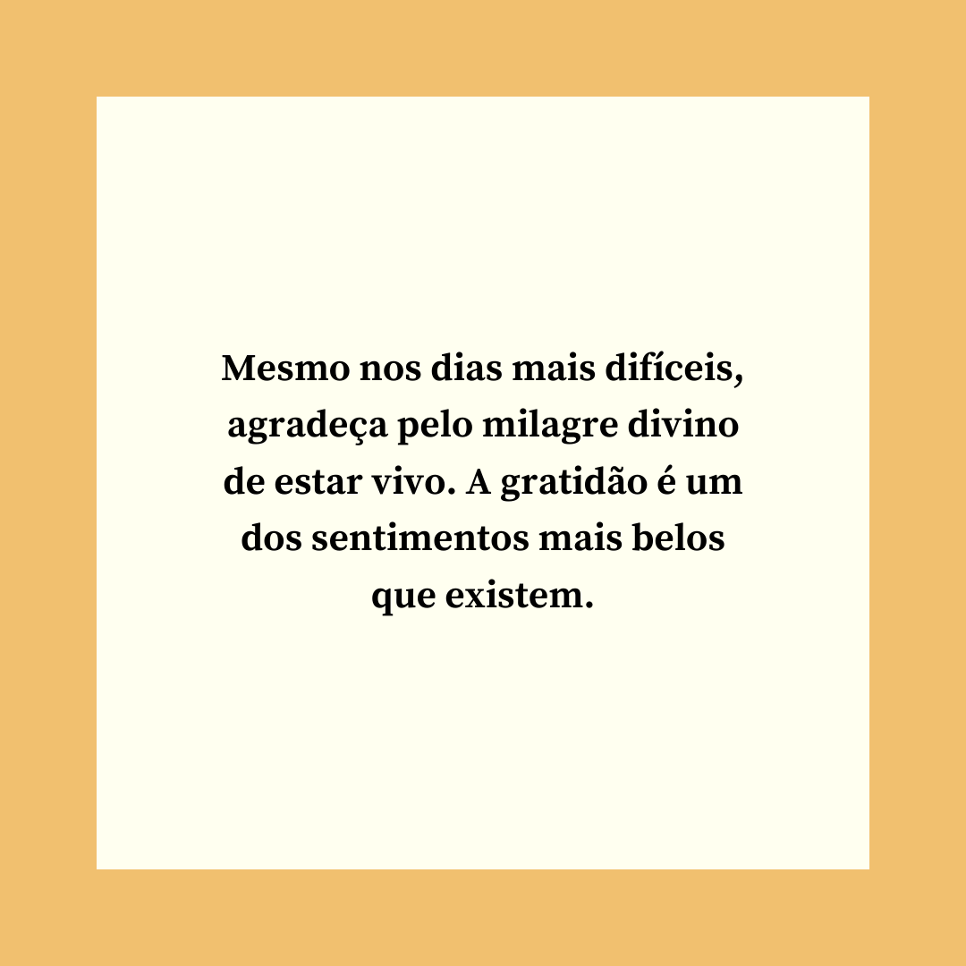 Mesmo nos dias mais difíceis, agradeça pelo milagre divino de estar vivo. A gratidão é um dos sentimentos mais belos que existem.