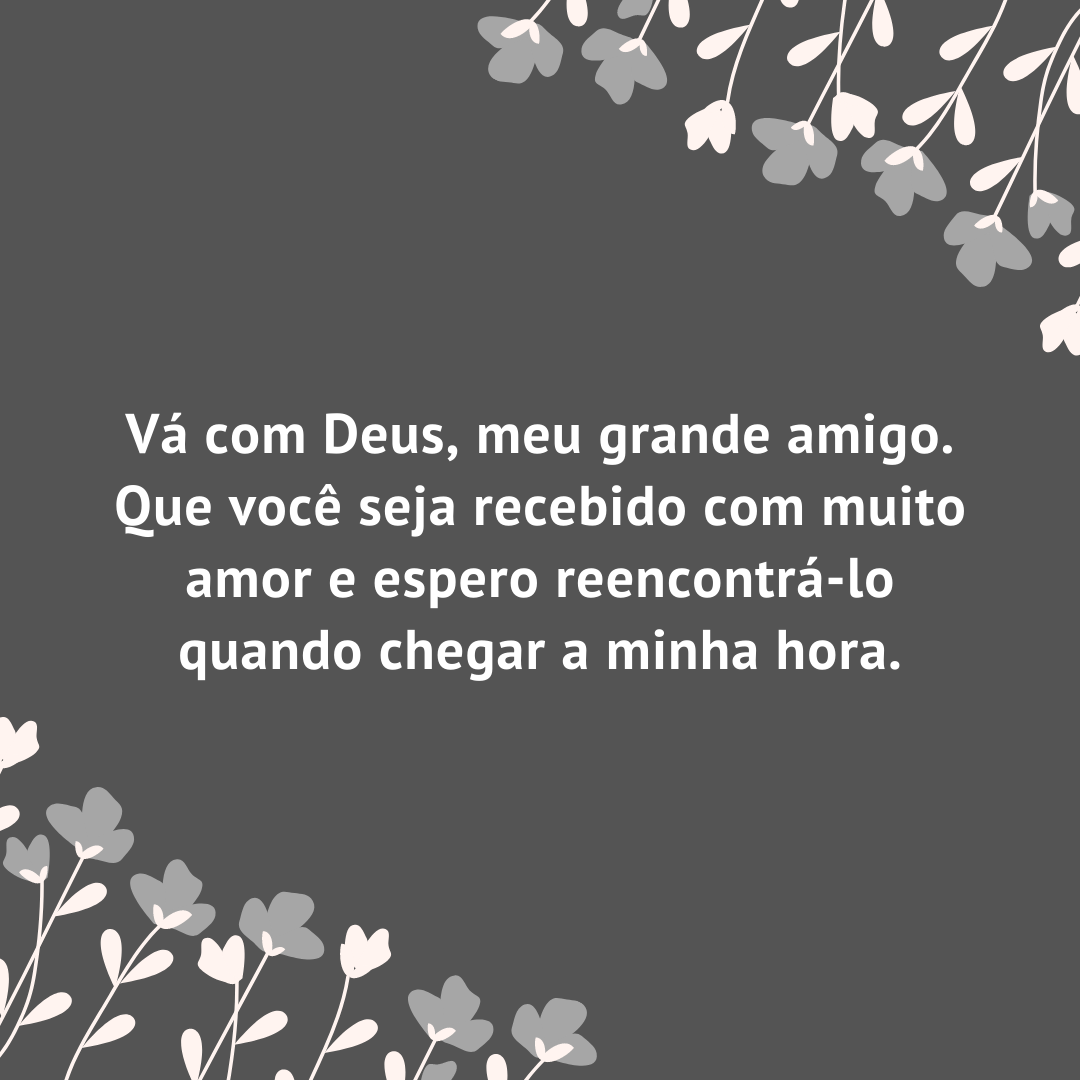 Vá com Deus, meu grande amigo. Que você seja recebido com muito amor e espero reencontrá-lo quando chegar a minha hora.