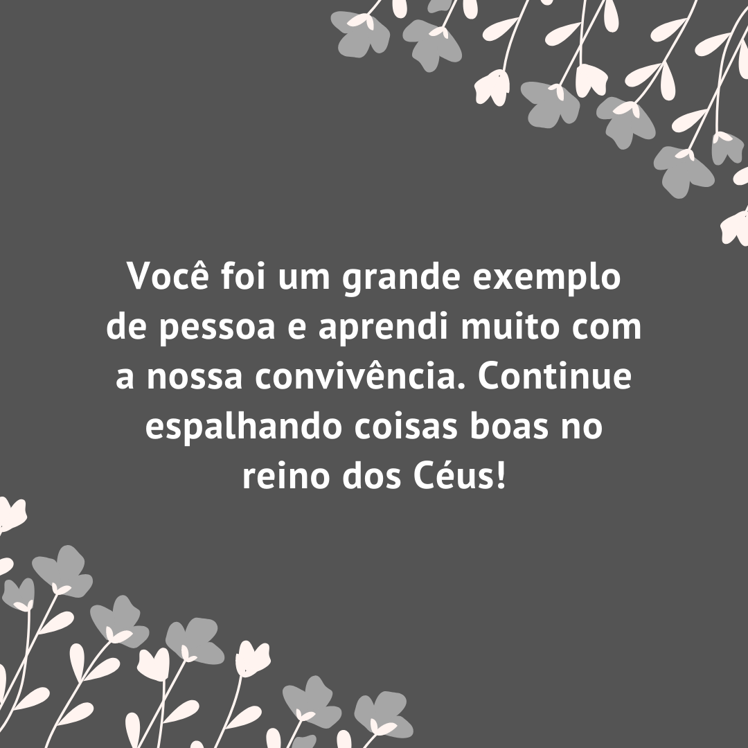 Você foi um grande exemplo de pessoa e aprendi muito com a nossa convivência. Continue espalhando coisas boas no reino dos Céus!