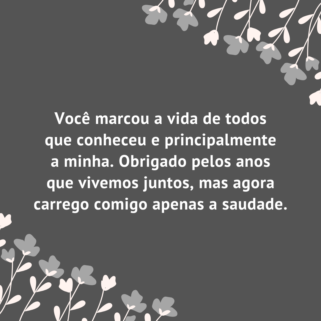 Você marcou a vida de todos que conheceu e principalmente a minha. Obrigado pelos anos que vivemos juntos, mas agora carrego comigo apenas a saudade.