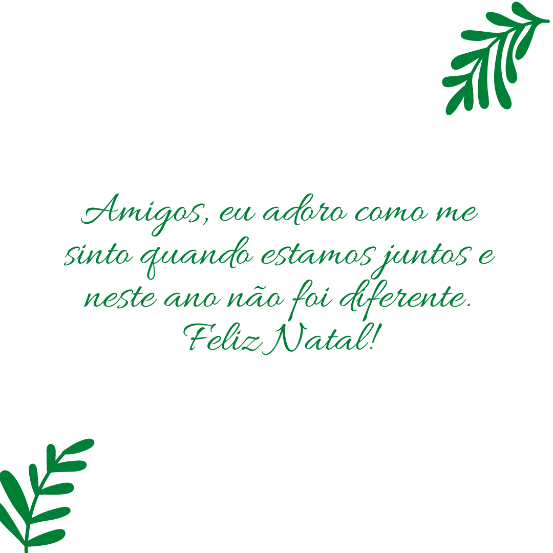 Amigos, eu adoro como me sinto quando estamos juntos e neste ano não foi diferente. Feliz Natal!