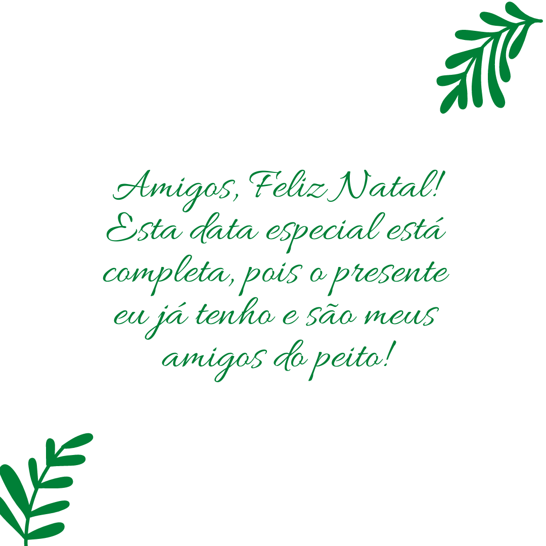 Amigos, Feliz Natal! Esta data especial está completa, pois o presente eu já tenho e são meus amigos do peito!