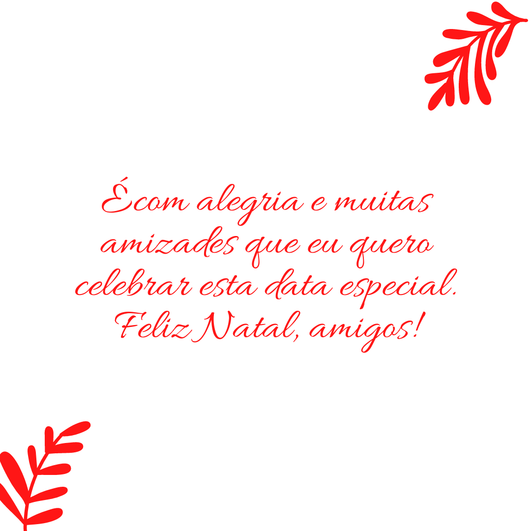 É com alegria e muitas amizades que eu quero celebrar esta data especial. Feliz Natal, amigos!