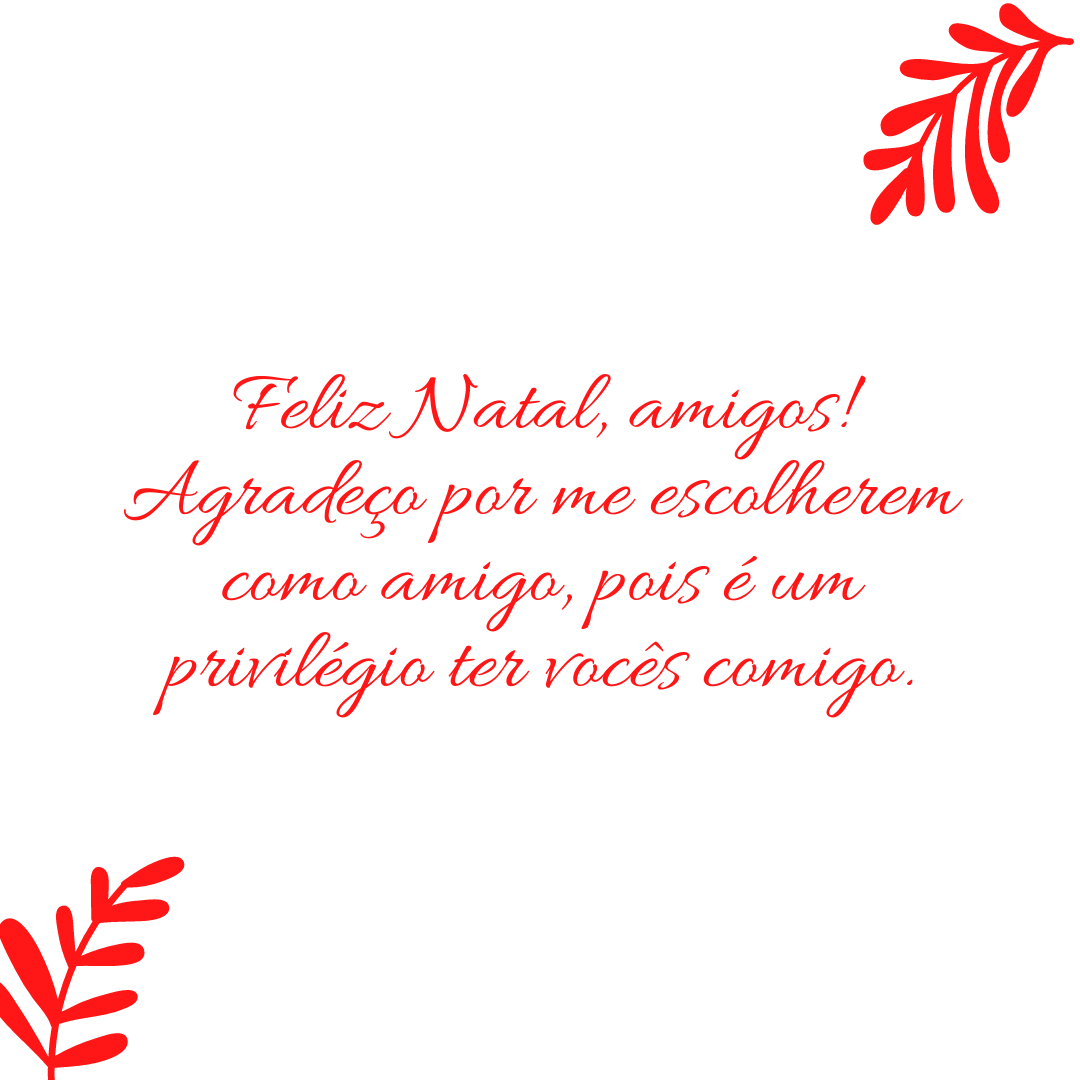 Feliz Natal, amigos! Agradeço por me escolherem como amigo, pois é um privilégio ter vocês comigo.