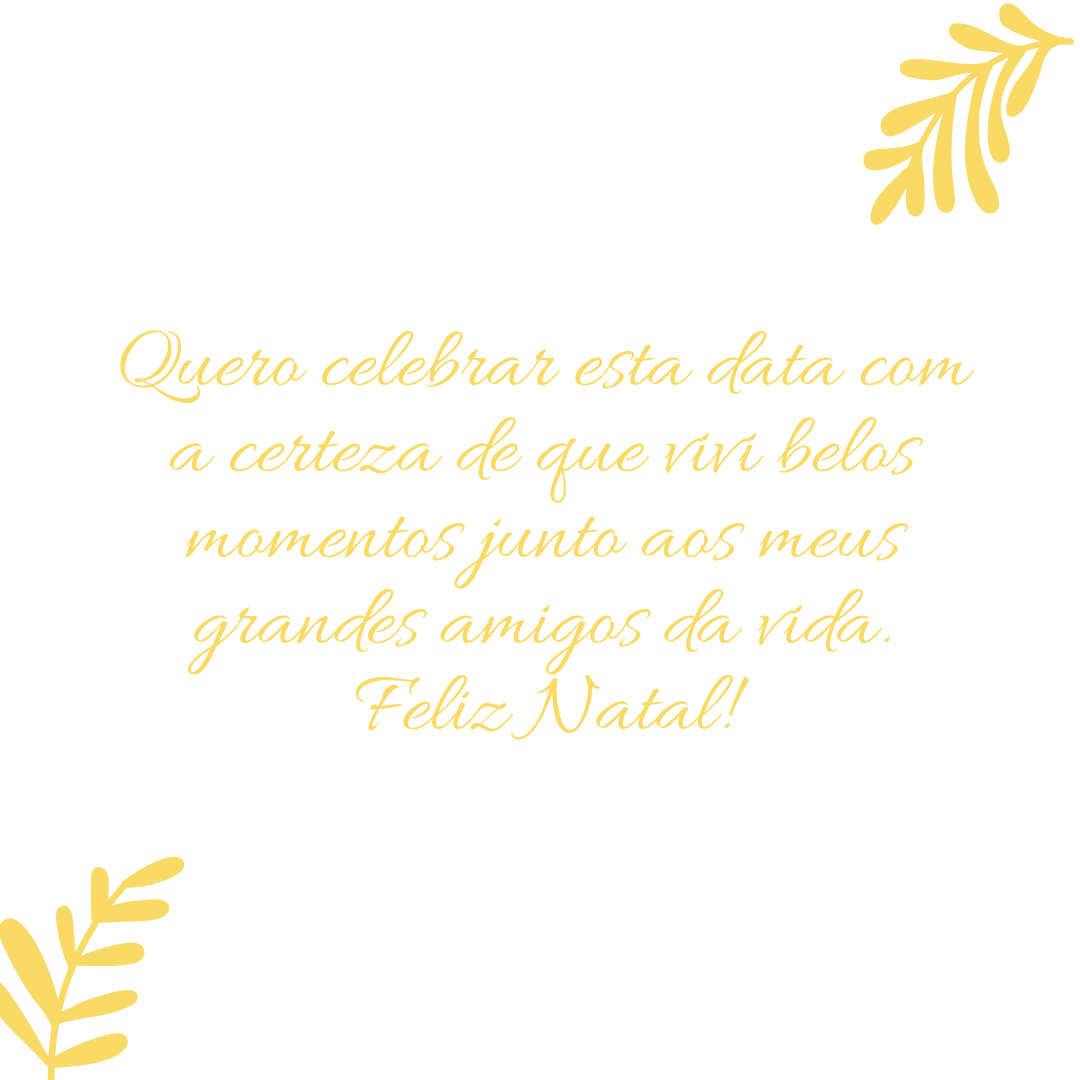 Quero celebrar esta data com a certeza de que vivi belos momentos junto aos meus grandes amigos da vida. Feliz Natal!